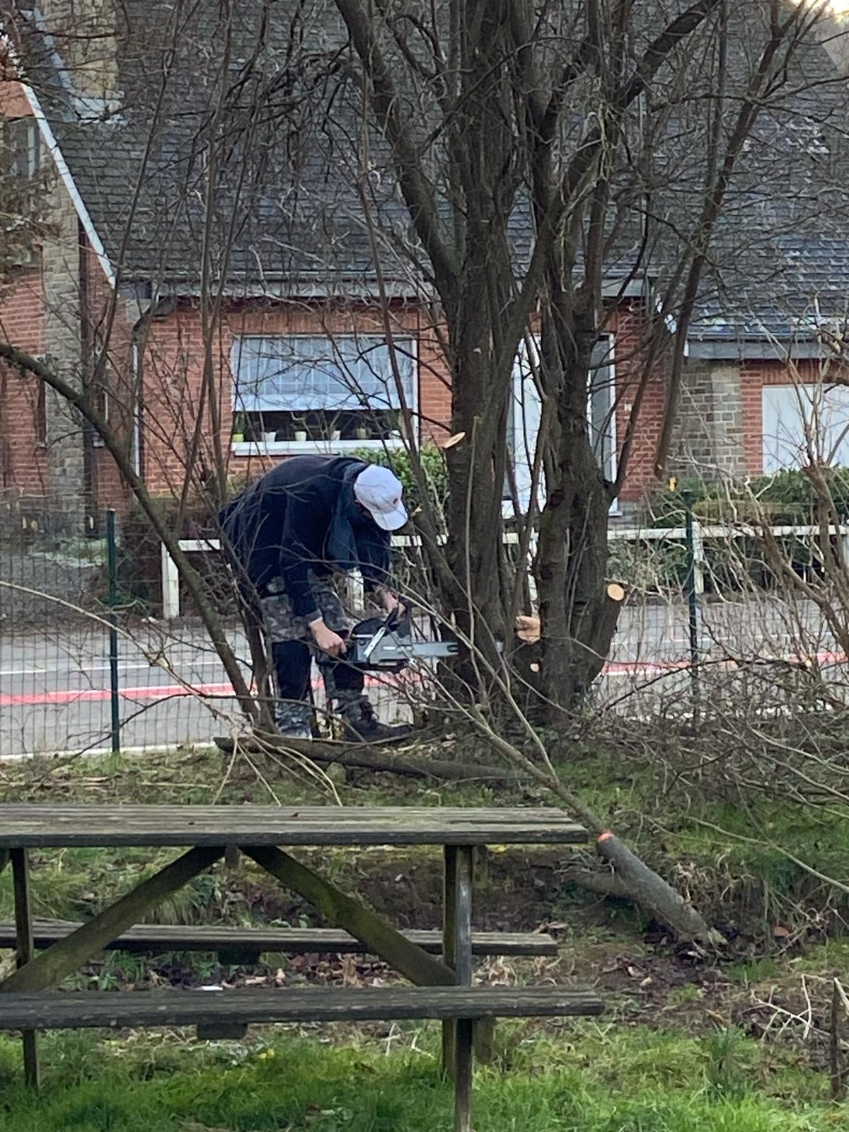 Travaux de coupe et élagage